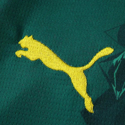 Maillot Sénégal 2 Étoiles Extérieur Coupe du Monde 2026 Version Joueur