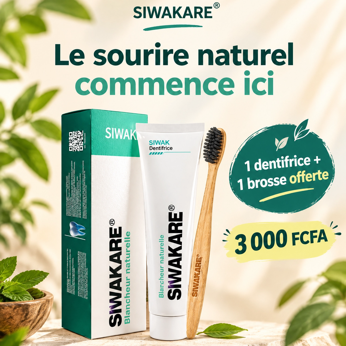Pâte dentifrice + brosse à dents offerte